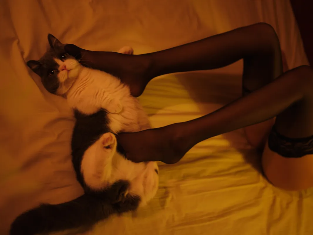 复活黑 - 一米八的大梨子